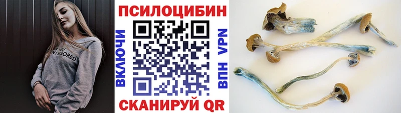 Галлюциногенные грибы мухоморы  цена наркотик  Тольятти 