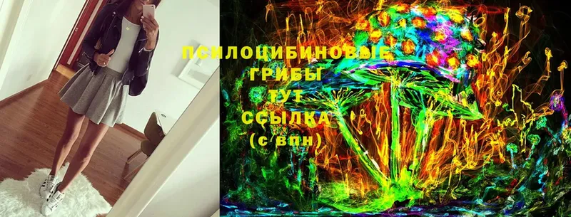 Галлюциногенные грибы Psilocybe  mega зеркало  Тольятти 