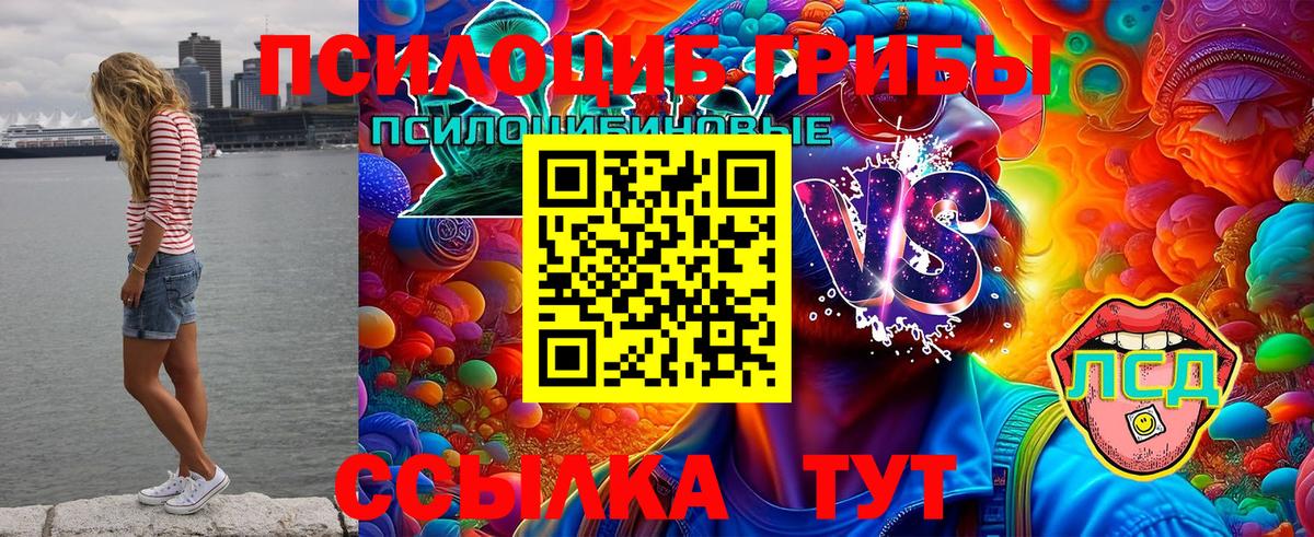 Псилоцибиновые грибы MAGIC MUSHROOMS Тольятти
