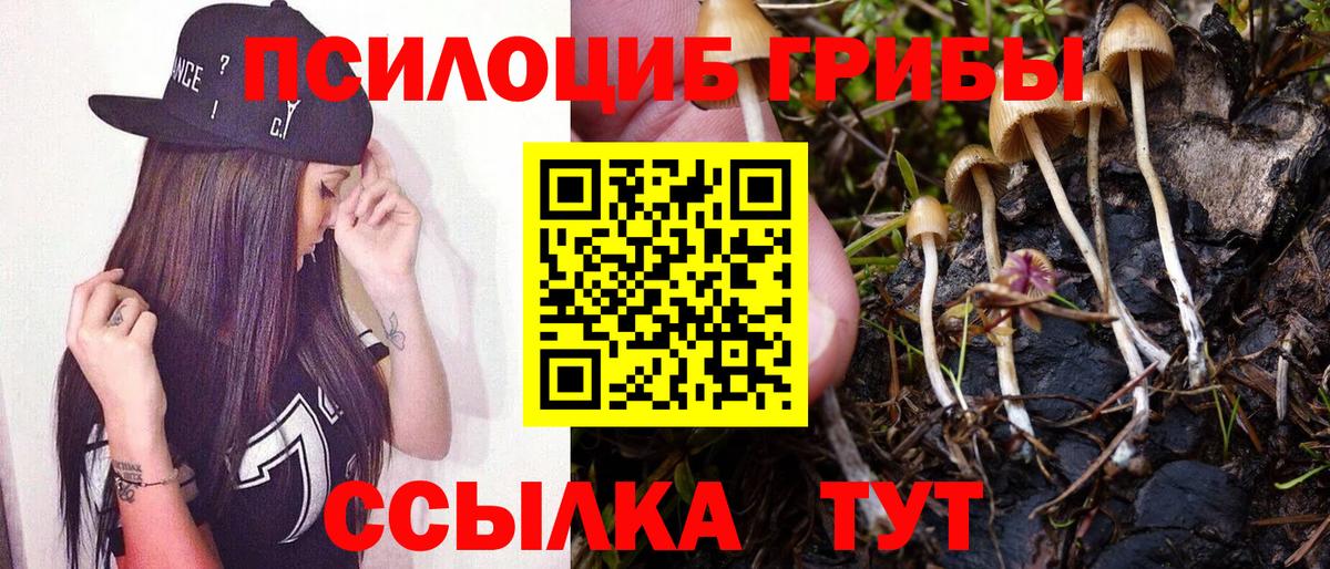 Галлюциногенные грибы ЛСД  Тольятти  Псилоцибиновые грибы Psilocybine cubensis 