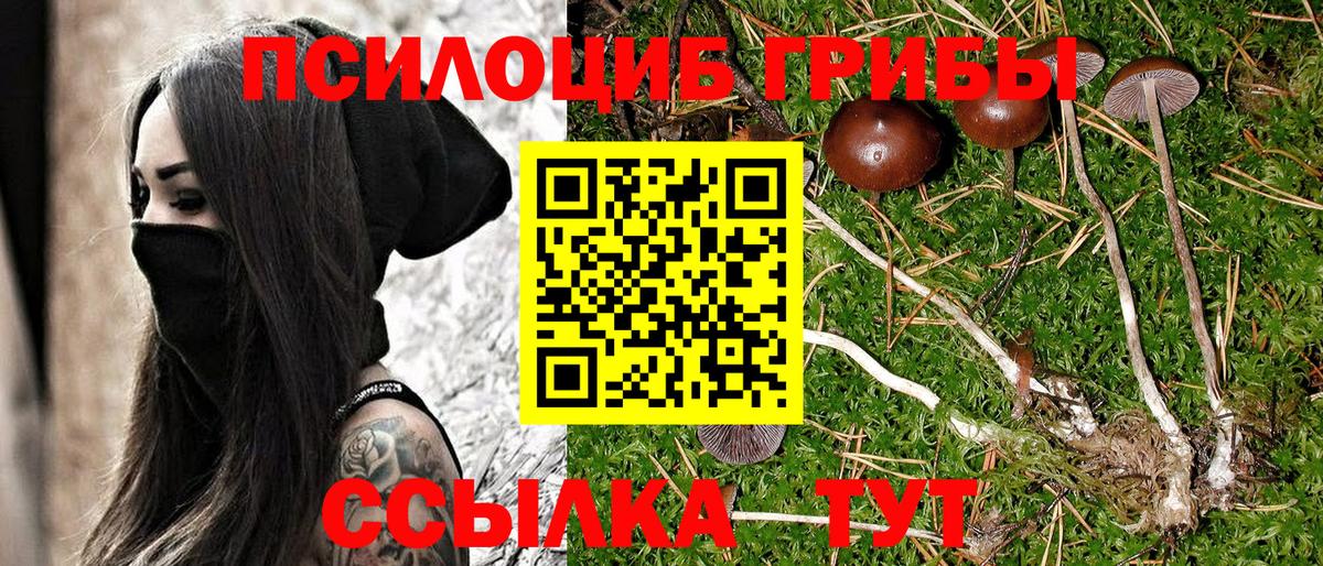 Псилоцибиновые грибы Cubensis  Вход с VPN  Тольятти 