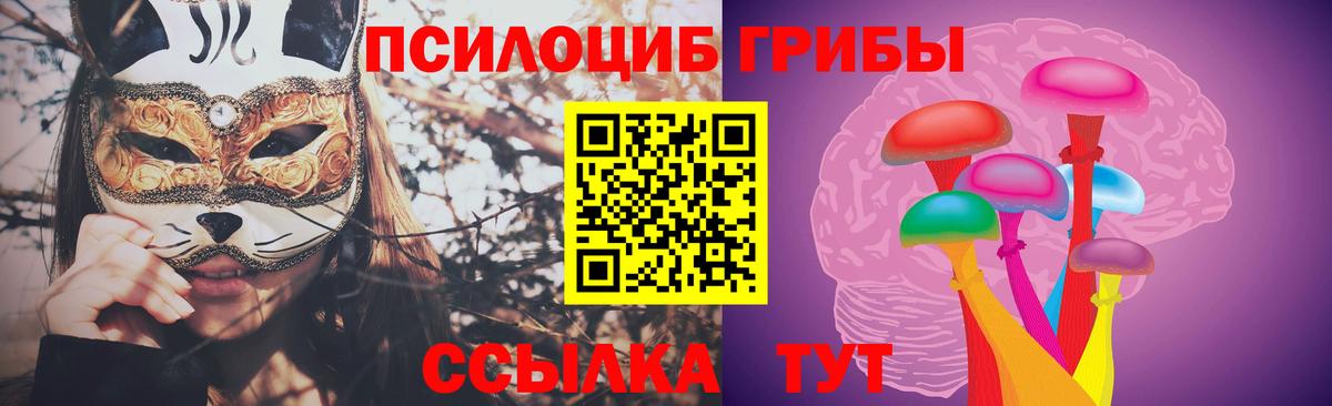 Галлюциногенные грибы Magic Shrooms Тольятти